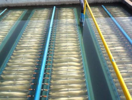 點(diǎn)擊查看詳細(xì)信息<br>標(biāo)題：MBR膜生物反應(yīng)器 閱讀次數(shù)：2557