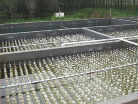 點(diǎn)擊查看詳細(xì)信息<br>標(biāo)題：養(yǎng)殖污水處理 閱讀次數(shù)：4914